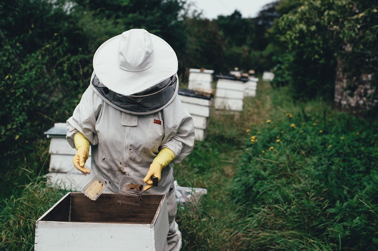 Bee keeper in protective equipment